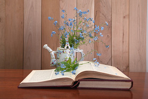 Memories featuring book, bookshelf, and antique