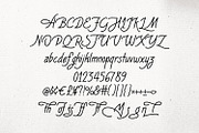 The Mossmof Monoline Script Font, a Script Font by Maulana Creative (Thumbnail 4 of 7)