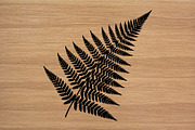 Fern Leaf Silhouette PNG Vector Set, an Object Illustration by Amazin_art (Thumbnail 4 of 4)