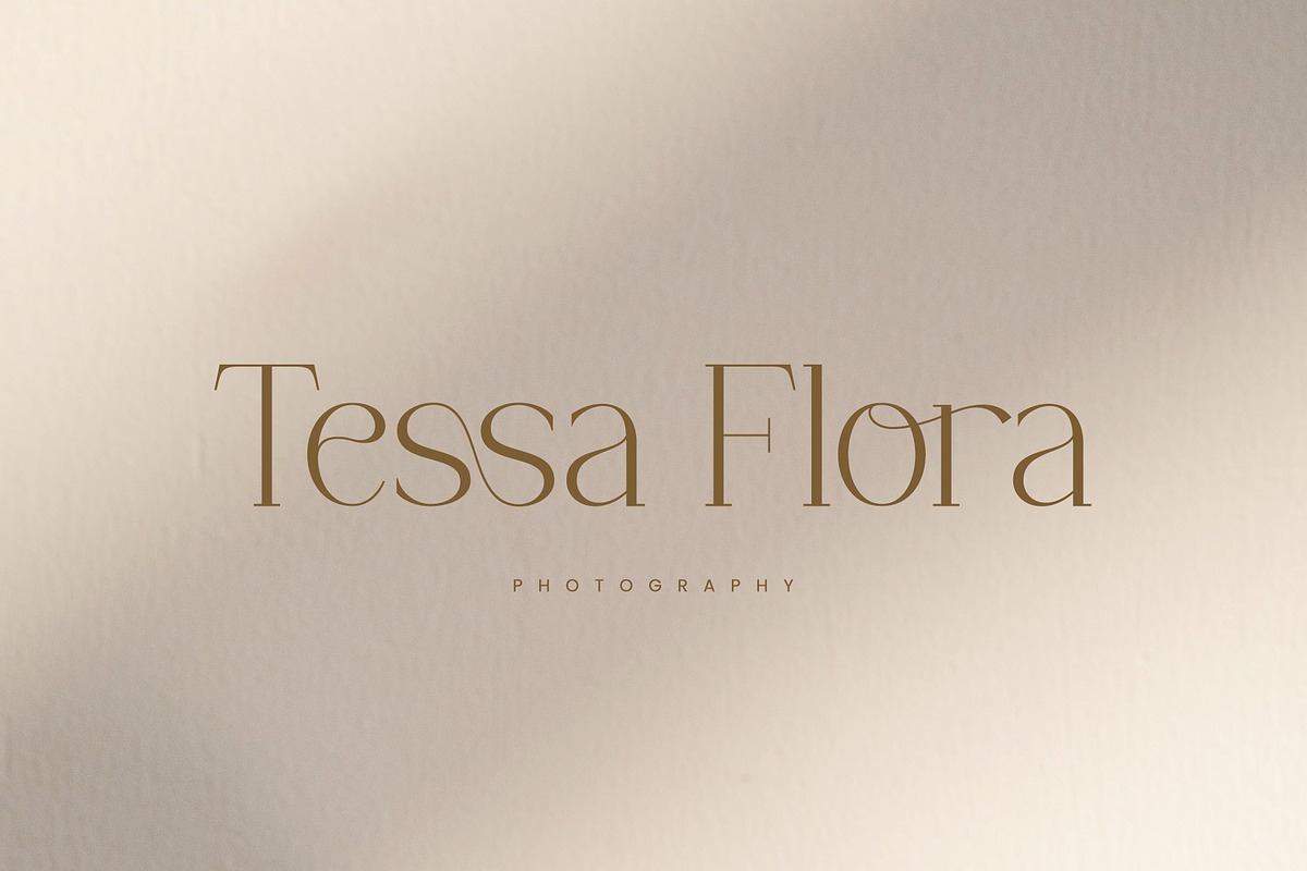 Chaltera | Modern Ligature Serif, a Serif Font by Typoraith Co (Photo 4 of 11)