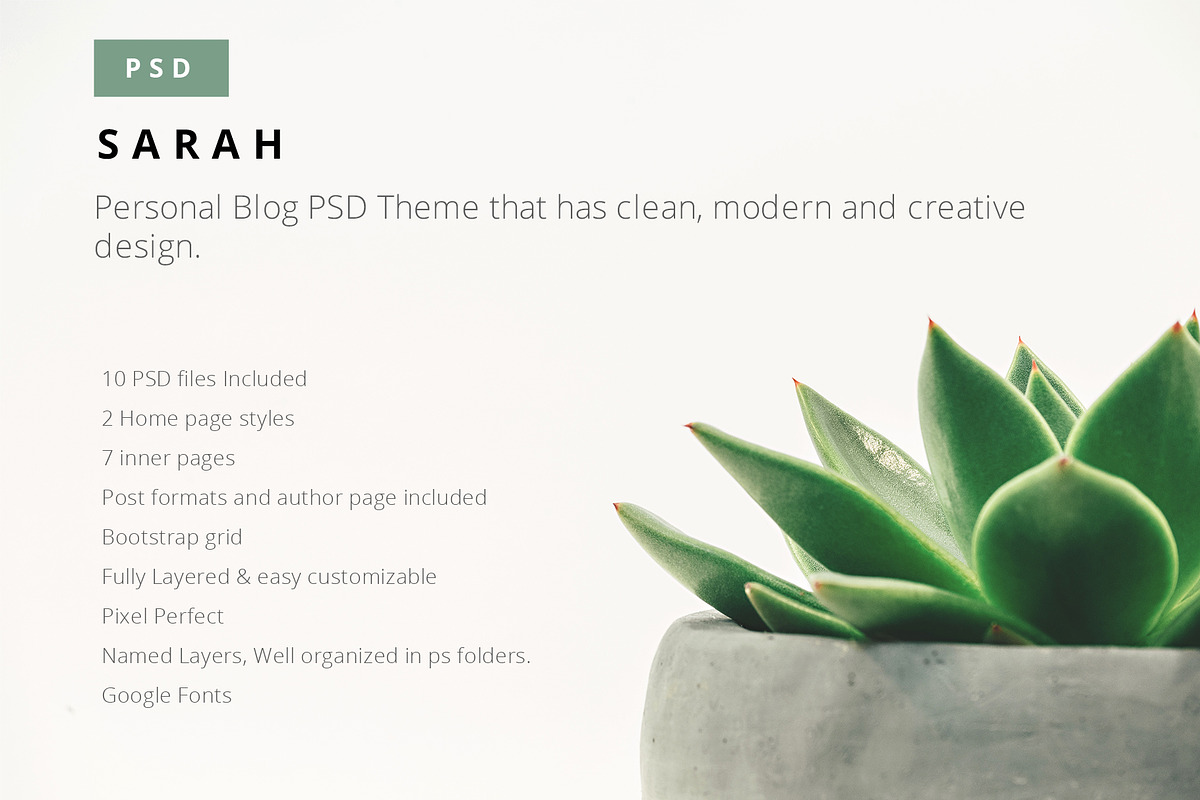Sarah PSD Blog Theme, a Websites & App Template by thematica (Photo 1 of 11)