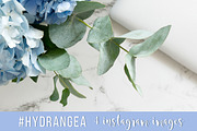 #Hydrangea. 4 Instagram images, a Product Mockup by Bang Bang Bureau (Thumbnail 4 of 4)