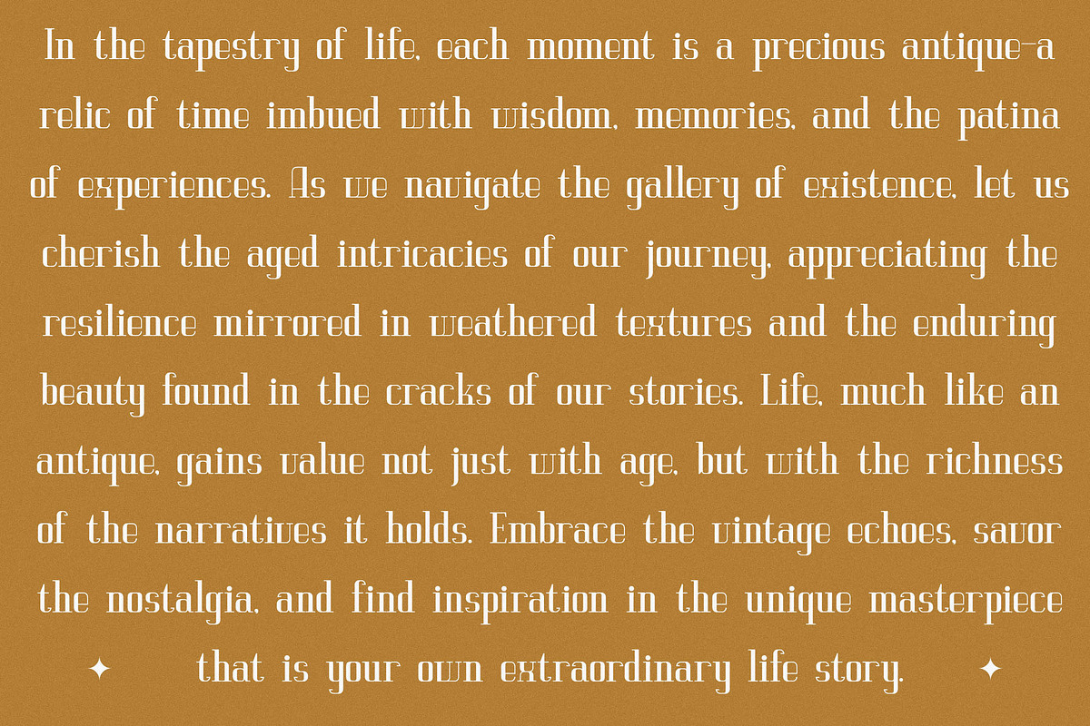 Vittorika Modern Serif Font, a Serif Font by Letterena Studios (Photo 7 of 15)