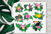Tropics Forever! Vector set, an Animal Illustration by CallMeStasia (Thumbnail 4 of 7)
