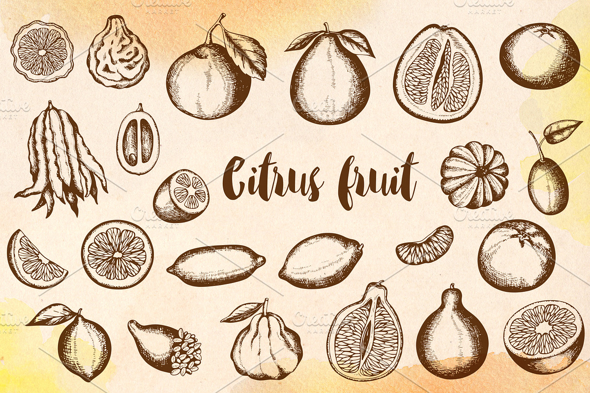 Vintage Citrus Fruits Design Kit, a Food Illustration by Artspace (Photo 1 of 3)