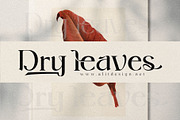 Roller Alika, a Serif Font by alit design (Thumbnail 11 of 14)
