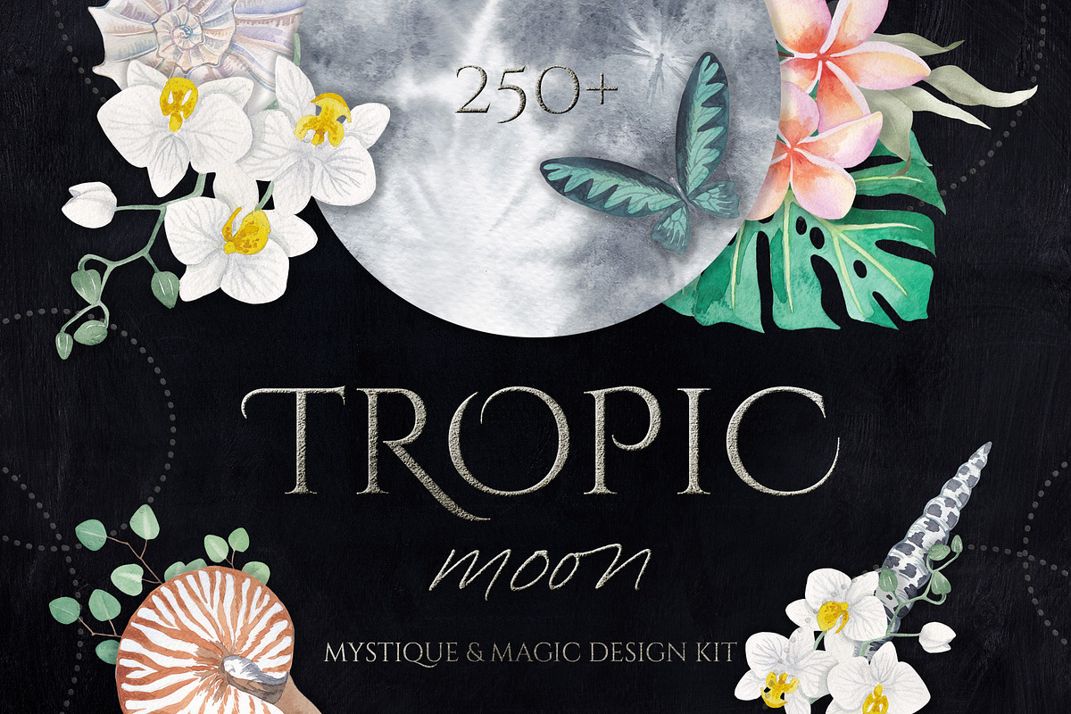 Tropic Moon - mystique design kit, an Animal Illustration by Beauty Drops (Photo 1 of 12)