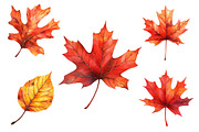 Watercolor Fall Leaves Clipart, a Seasonal Illustration by CitraGraphics (Thumbnail 5 of 5)