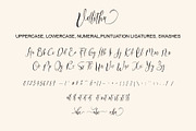 Vellitha, a Script Font by Nowlystudios (Thumbnail 7 of 7)