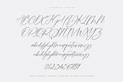Francie Font Duo, a Serif Font by Ivan Rosenberg (Thumbnail 8 of 14)