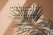 Pravora | Modern Serif Typeface, a Serif Font by Artdez (Thumbnail 3 of 5)