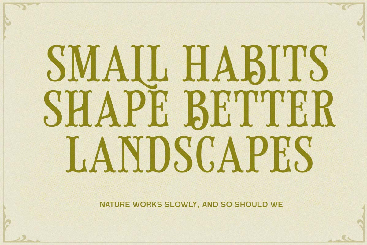 Brindley Houston Display Serif, a Serif Font by Letterhend Studio (Photo 9 of 11)