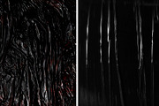 Macro Abstract Photo Bundle, an Abstract Photo by Noires (Thumbnail 5 of 8)