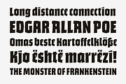 Bork: a blackletter-inspired font, a Blackletter Font by Harbor Type (Thumbnail 9 of 12)
