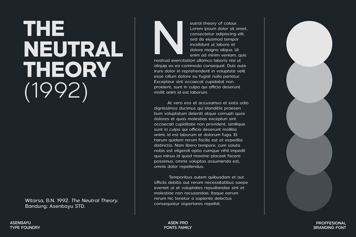 Asen Pro Fonts Family, a Sans Serif Font by Asenbayu (Photo 10 of 15)