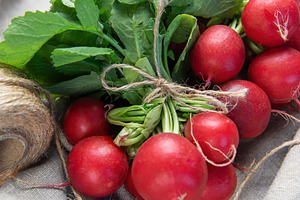 Fresh organic radishes with green leaves on rustic linen, a Food & Drink Photo by Olena Rudo