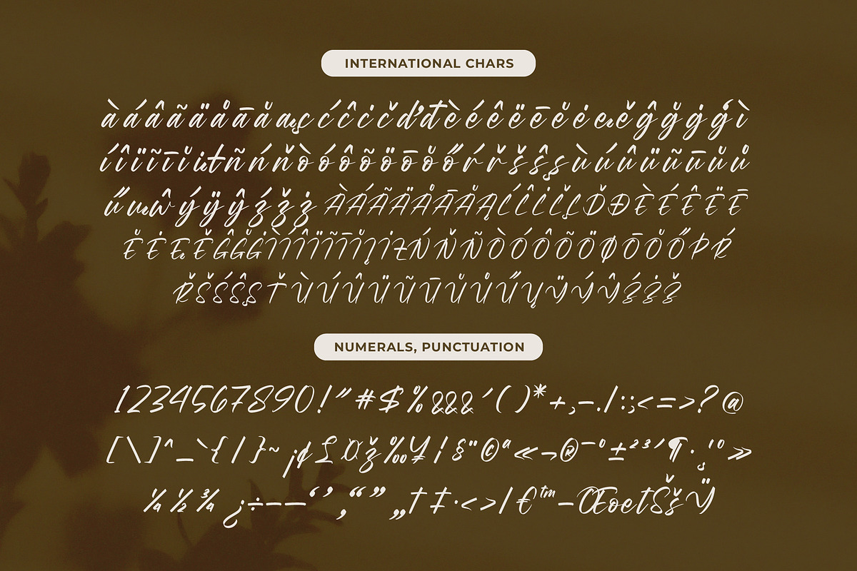 Wystine Esphelta Modern Brush Font, a Script Font by Letterena Studios Script (Photo 18 of 20)