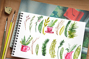 Christmas Herbal watercolor set, a Decorative Illustration by Olesya Morokhovets (Thumbnail 2 of 7)