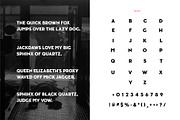 Amscray, a Serif Font by Loudoun Design Co. (Thumbnail 2 of 7)