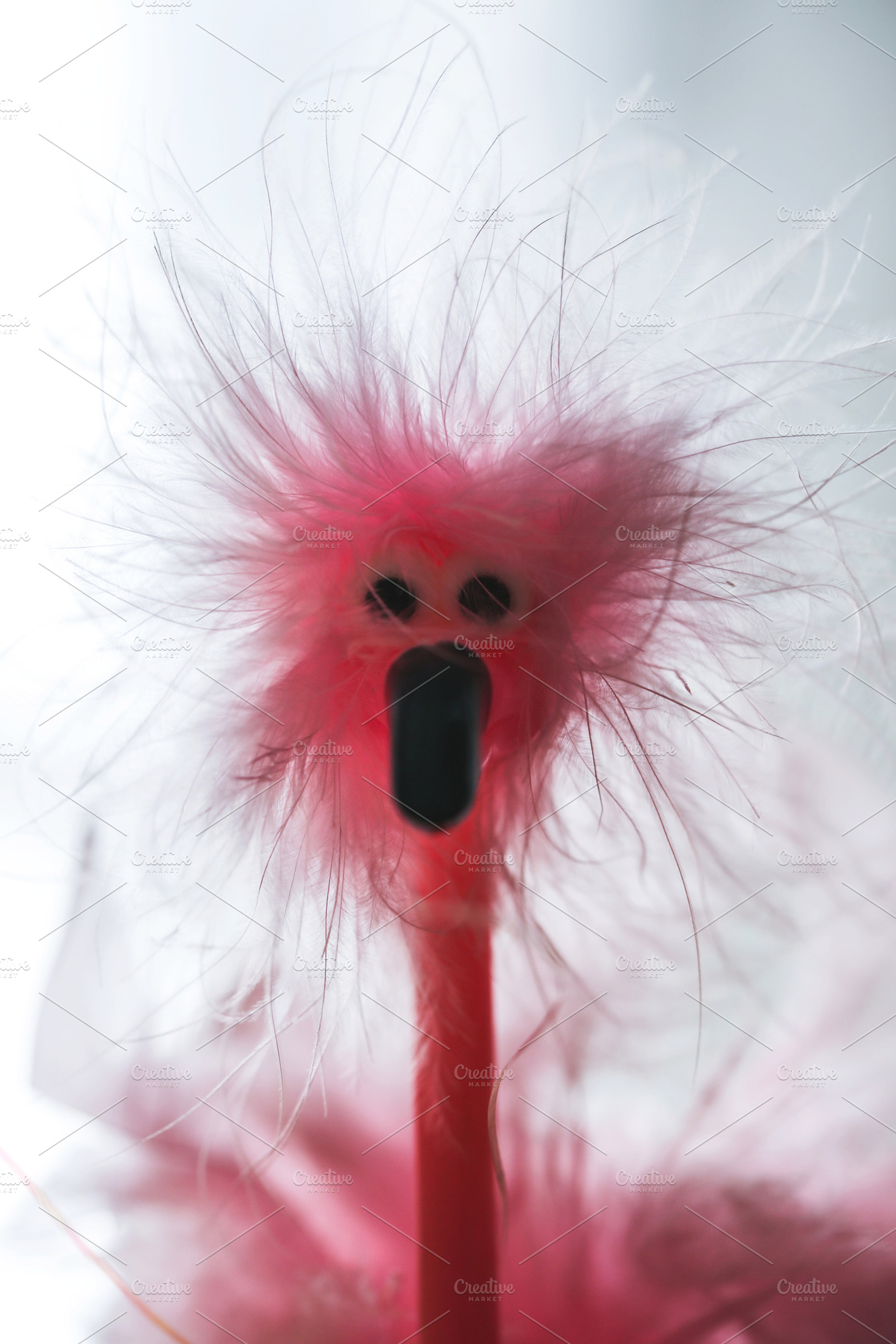 the Stressed Ostrich, an Abstract Photo by The Little Wild Apple