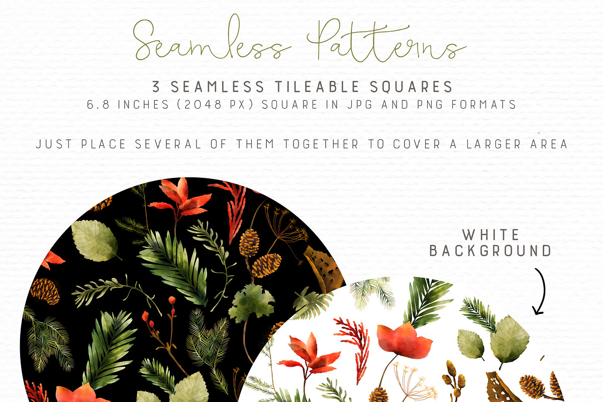 Botanical Forest - Brushes and Icons, an Illustration by Sandra Mejia (Photo 6 of 13)