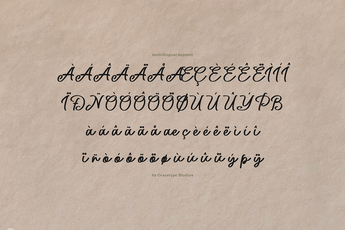 Northwick Cursive Handwritten Script, a Script Font by gracetype_studio (Photo 12 of 12)
