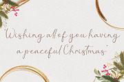 Christmas Leaf - Modern Calligraphy, a Handwritten Font by alifryanzulfikar (Thumbnail 2 of 9)