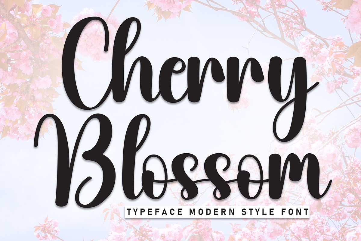 Cherry Bloosom | Script Font, a Handwritten Font by Scratchones (Photo 1 of 8)