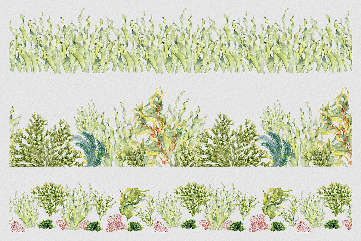 Sea plants watercolor collection, an Illustration by Kate Lanbina (Photo 12 of 18)