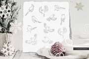 Winter birds. Christmas Story., a Seasonal Illustration by Designwork (Thumbnail 4 of 22)