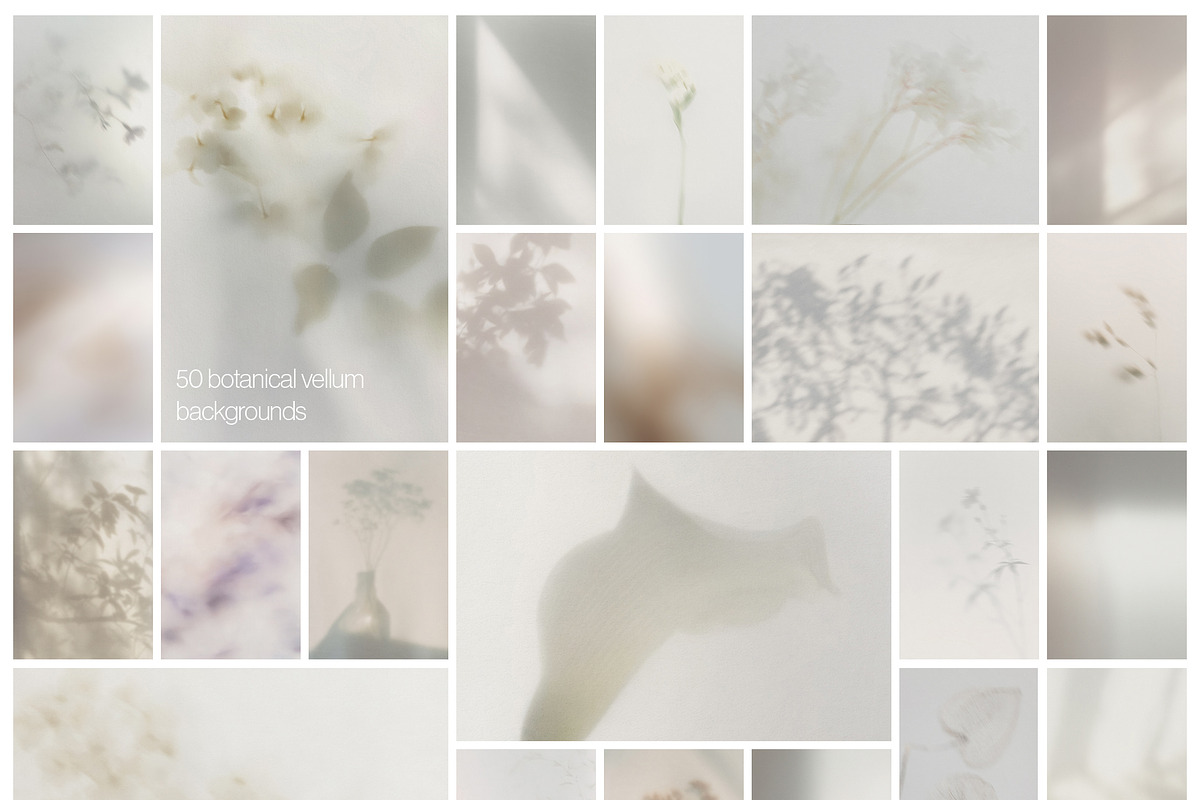 Blur Botanical Vellum Backgrounds, a Background Graphic by alonahaidash (Photo 7 of 14)
