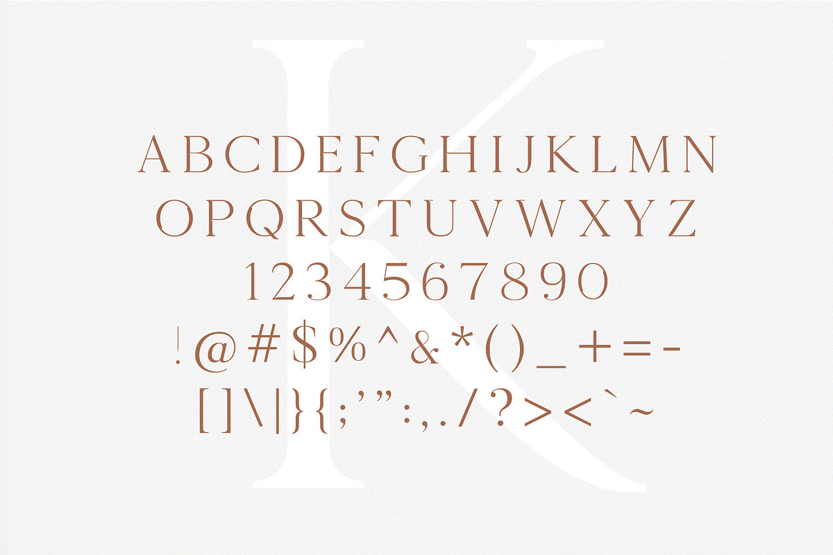The Chic & Unique Modern Font Bundle, a Sans Serif Font by Tropical Type (Photo 13 of 40)