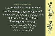 Delightful Napkin Modern Serif Font, a Serif Font by Airotype (Thumbnail 13 of 15)