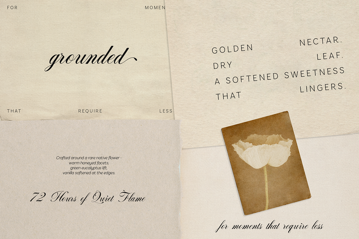 Armonia - Creative Font Duo, a Serif Font by VP Fonts (Photo 3 of 20)