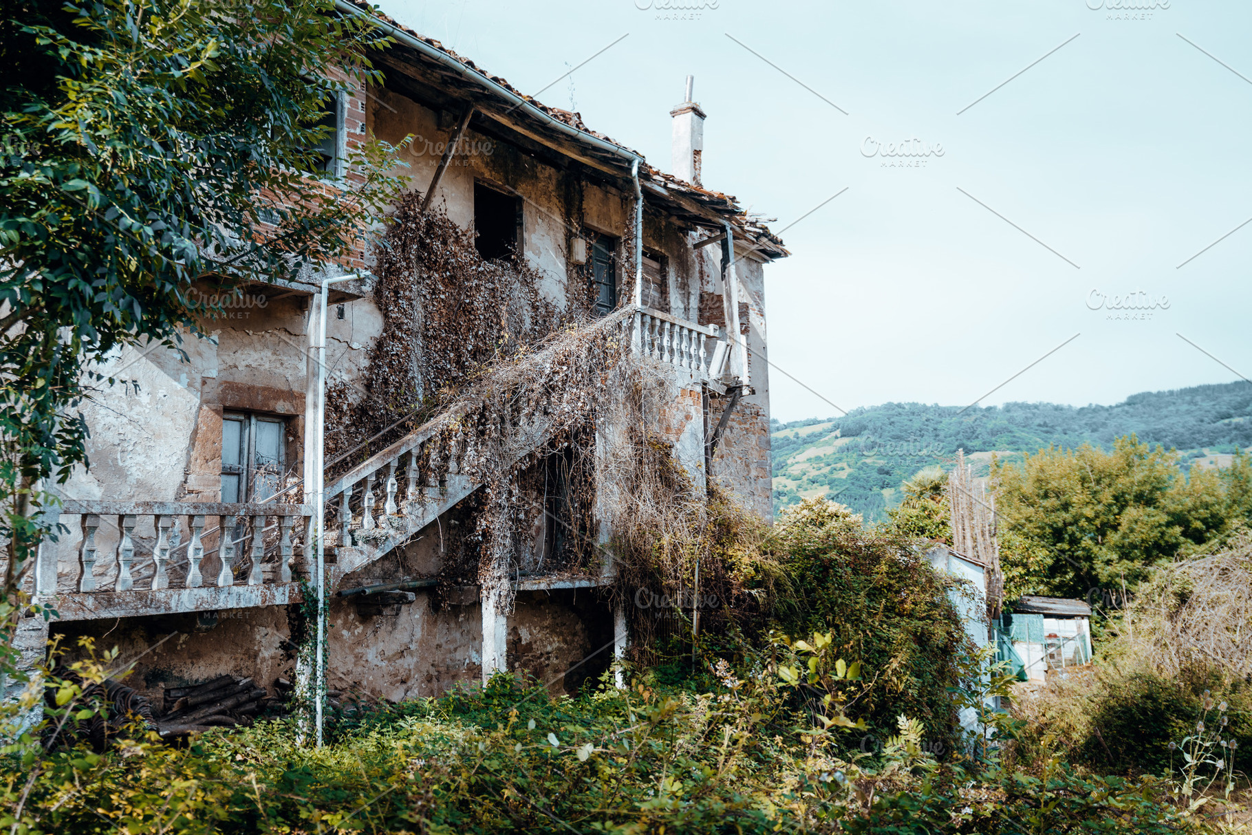 Abandoned ivy covered house, an Architecture Photo by SkyNext