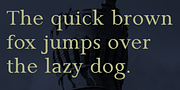 Gazi, a Serif Font by Fontuma (Thumbnail 11 of 12)