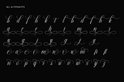 Blorivelle | Elegant Script Font, a Script Font by Typoraith Co (Thumbnail 10 of 10)