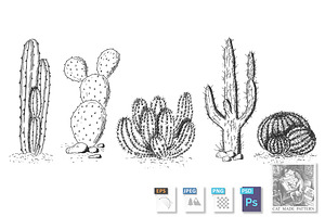 Desert Cactuses And Succulents Set