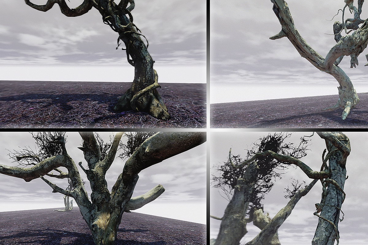 Witchwood, an Environmental 3D Model by MotuProprio (Photo 3 of 7)