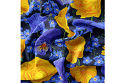 Pattern Pansies and Buttercups, a Pattern Graphic by MarynaPetrovska (Thumbnail 5 of 10)