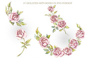 Watercolor Pink Roses, a Decorative Illustration by Budogoshch (Thumbnail 2 of 5)