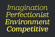 Sailer: Display Serif Font Family, a Serif Font by Eko Bimantara (Thumbnail 10 of 14)