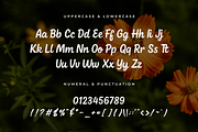 Calliora – Modern Handwritten Font, a Handwritten Font by overlaytemplates (Thumbnail 4 of 5)