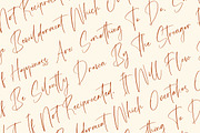 Amsterdam Silhouete Modern Script, a Script Font by stylishtype.co (Thumbnail 13 of 20)