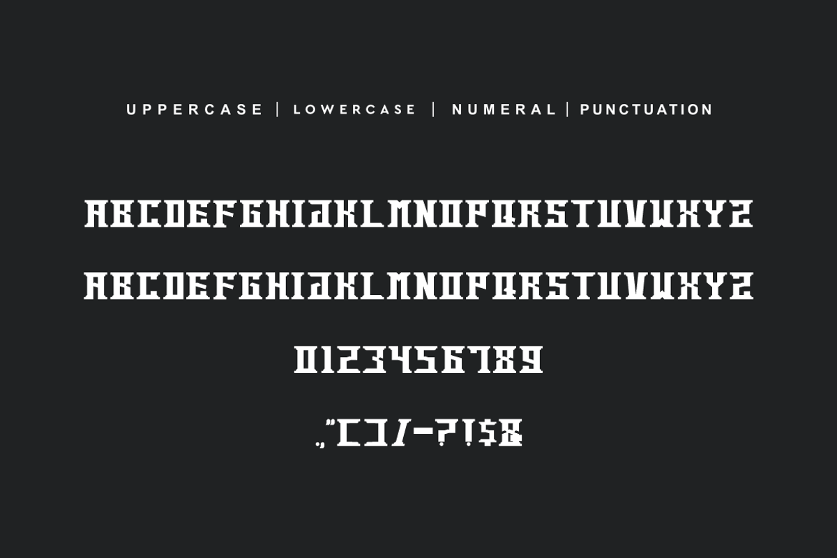 Davinci, a Serif Font by alon kelakon (Photo 5 of 6)