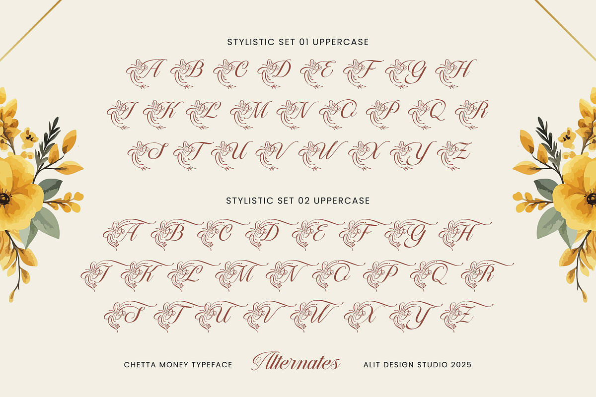 Chetta Money Typeface, a Script Font by alit design (Photo 4 of 17)