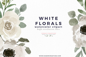 White Flowers Watercolor Background