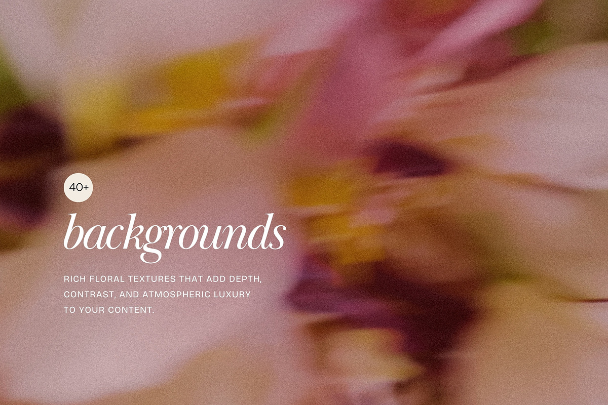 Blur Flower Abstract Backgrounds, a Background Graphic by eclosque (Photo 23 of 27)