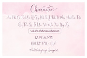 Beauty and Love - Font Duo + Extra, a Script Font by PutraCetol Studio (Thumbnail 11 of 12)
