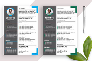 Modern Professional Resume Template